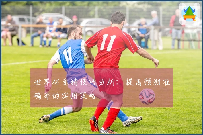 世界杯竞猜技巧分析：提高预测准确率的实用策略