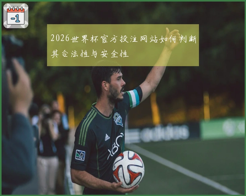 2026世界杯官方投注网站如何判断其合法性与安全性