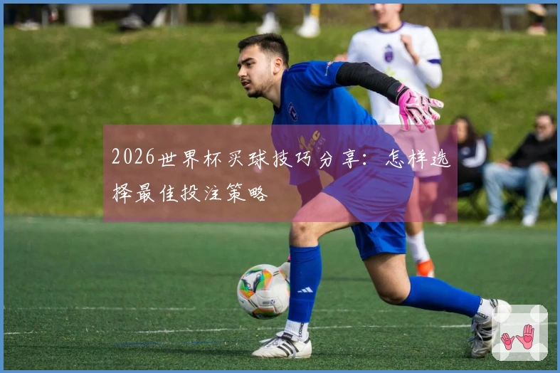 2026世界杯买球技巧分享：怎样选择最佳投注策略