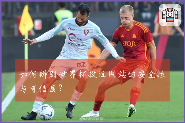 如何辨别世界杯投注网站的安全性与可信度？