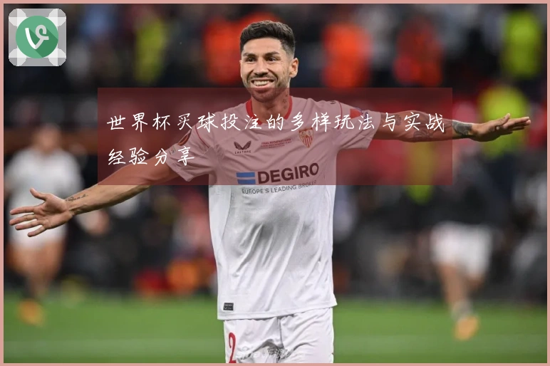 世界杯买球投注的多样玩法与实战经验分享