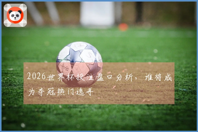 2026世界杯投注盘口分析，谁将成为夺冠热门选手