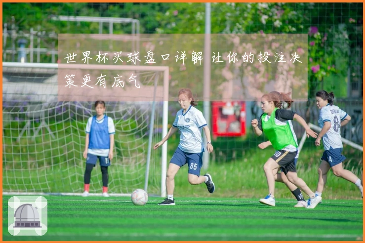 世界杯买球盘口详解 让你的投注决策更有底气