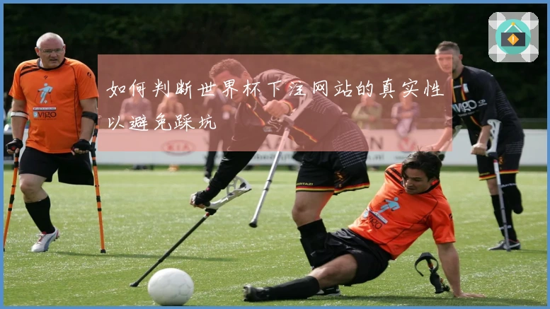 如何判断世界杯下注网站的真实性以避免踩坑