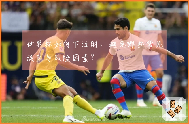 世界杯如何下注时,避免哪些常见误区与风险因素?