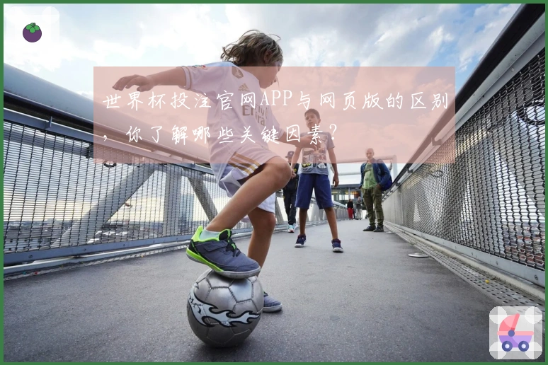 世界杯投注官网APP与网页版的区别，你了解哪些关键因素？